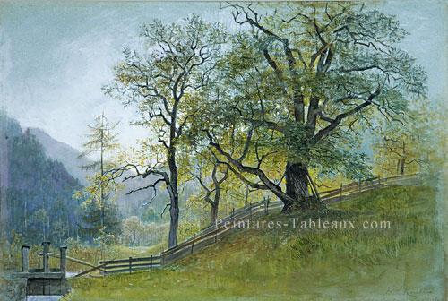 Vahm Au Tyrol Près De Brixen Paysage Luminisme William Stanley Haseltine Peintures à l'huile